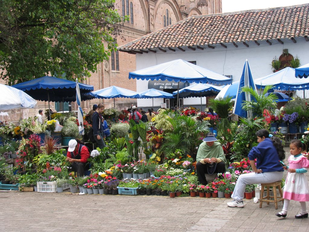 Le marché aux fleurs devant la cathédrale by Dersou1