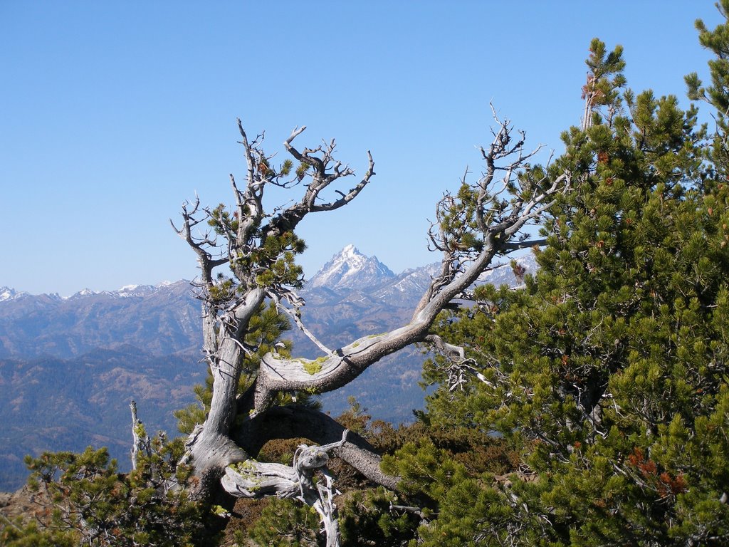 Mt. Stuart from Table Mountain by eforhan