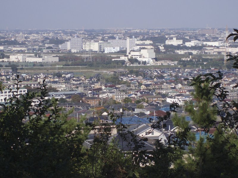 View of Tama River from Panorama-Dai(パノラマ台から多摩川を臨む) by Kiyochan