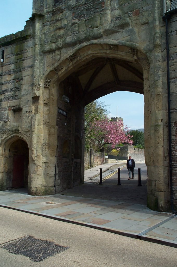 Gate to Cathedral Green, Wells by susiesdad