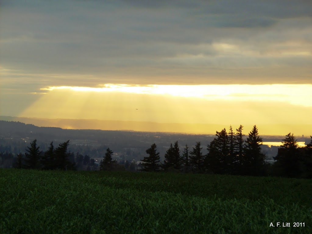 February 13, 2011. Taken April 16, 2008 near Troutdale, OR. by A. F. Litt