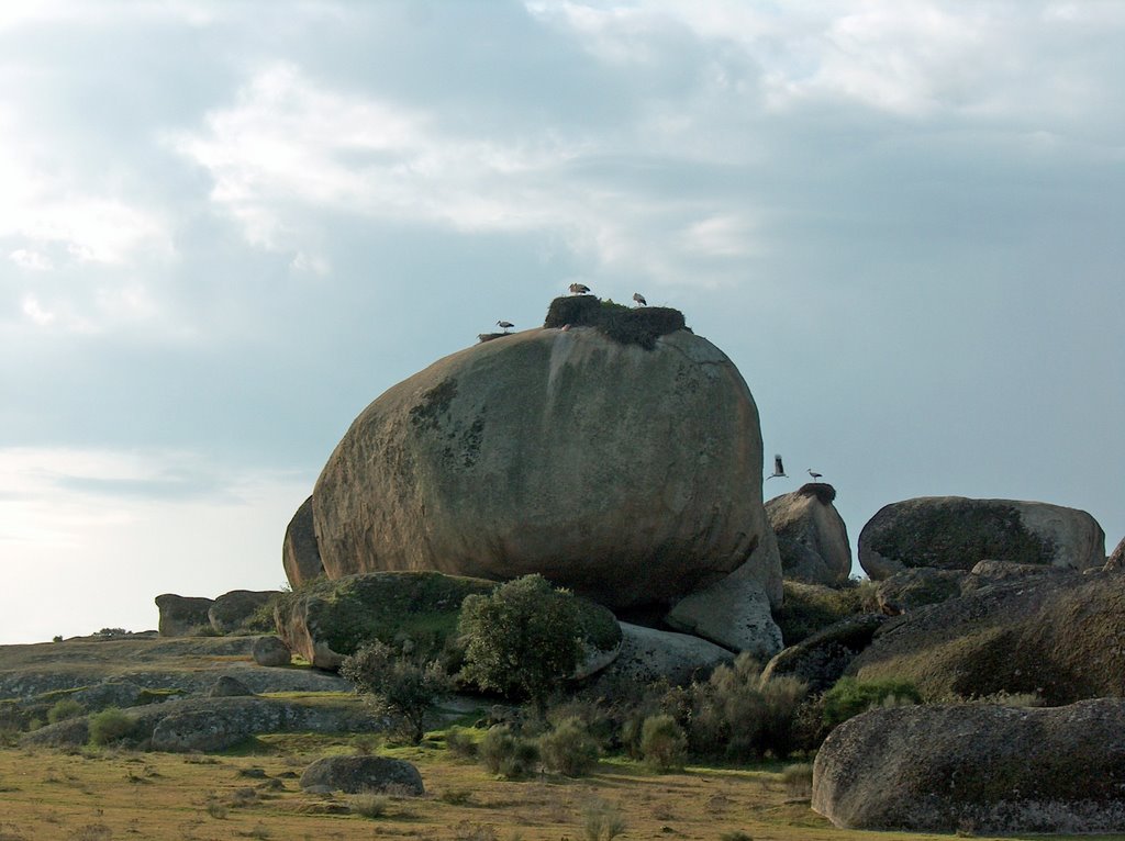 Cigüeñas en el Barrueco de arriba by Ricardo Pérez