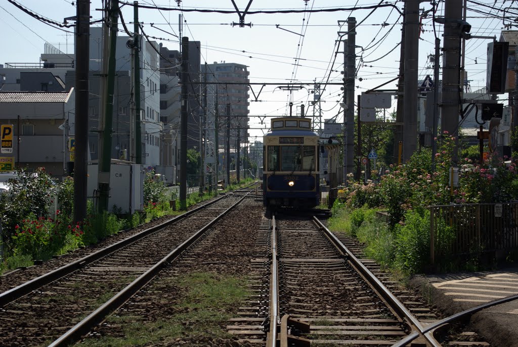 都電荒川線 / Toei Streetcar (Toden) Arakawa Line / 都电荒川线 by LittleGray