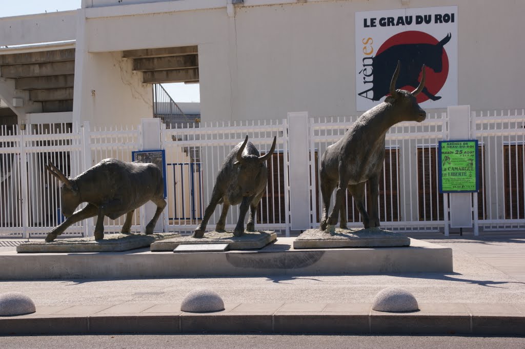 [Languedoc-Roussillon] Le Grau du Roi 2009 France by RoschM