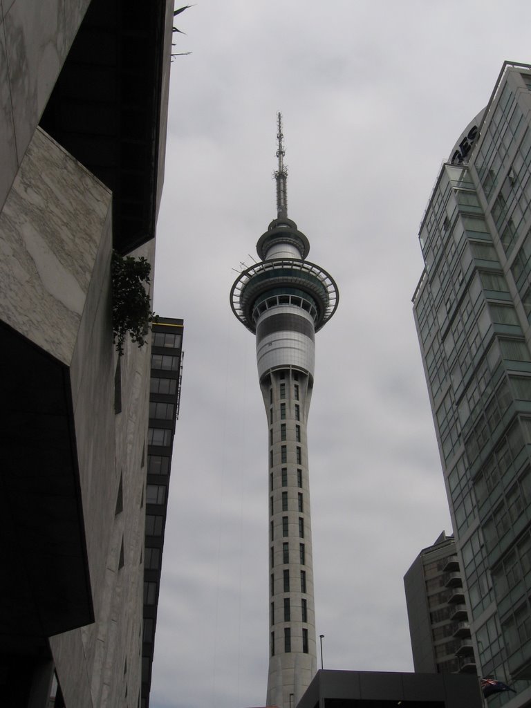 Sky Tower - Auckland by M. Spadari