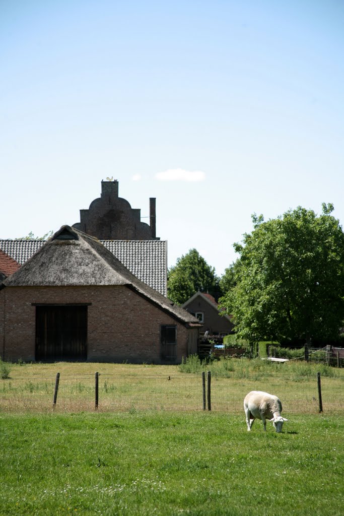 Bronkhorst, Bronckhorst, Gelderland, Nederland by Hans Sterkendries