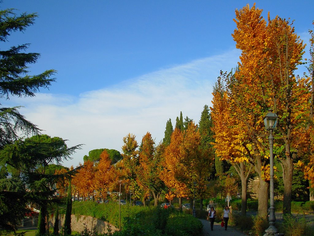 Autunno nel viale dei Colli...© by leo1383 by leo1383