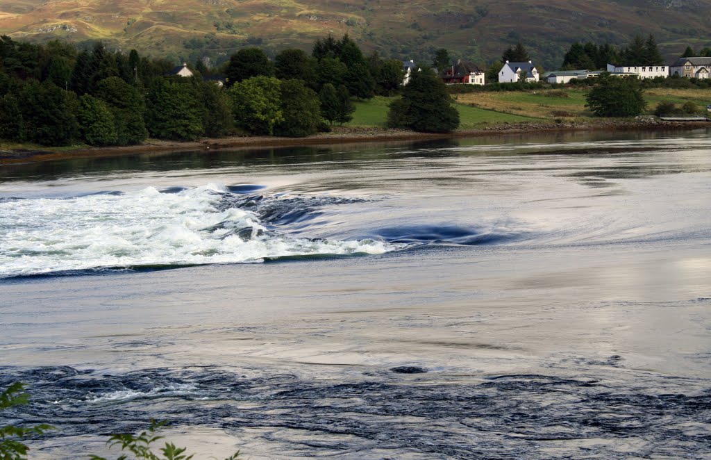 Connel. The Falls of Lora by Amelia Royan