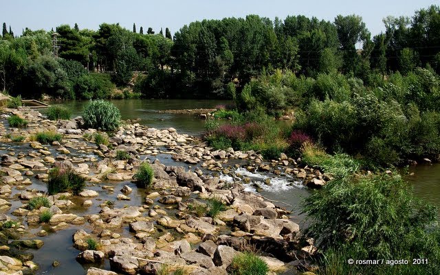 Río Ebro , Paseo de la FLorida , Logroño - agosto 2011 by Rosa  M. Olivan M.(-rosmar- )