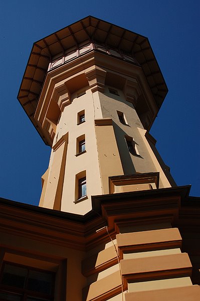 Watertower: Polytechnical Institute Park by anglerfish