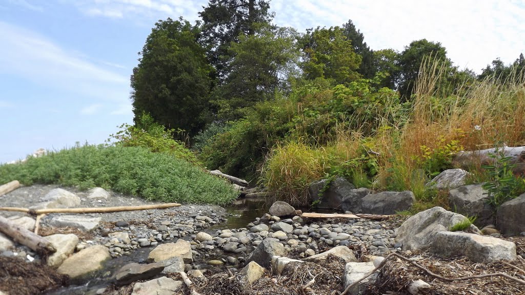 Tiny stream just south of Oar Road (Lantzville) by frtzw906