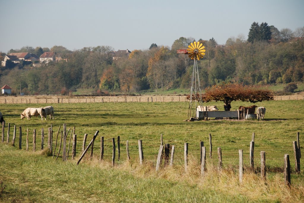 L'arbre taillé du moulin des malades by Luc Gruson