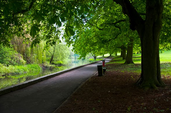 Watford park by abdesigns