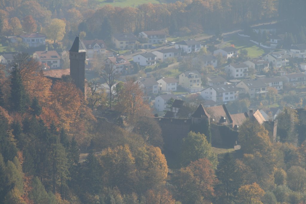 Burg Hirschhorn (vom Dammberg gesehen) by Sepp2001