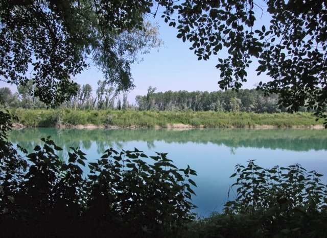 Fiume Brenta; 2003 by Enrico Norbiato