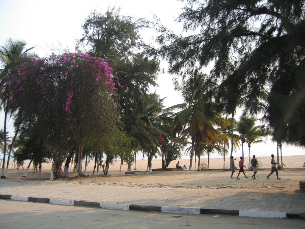 Sea Side Avenue (Av. Marginal) by José Pires