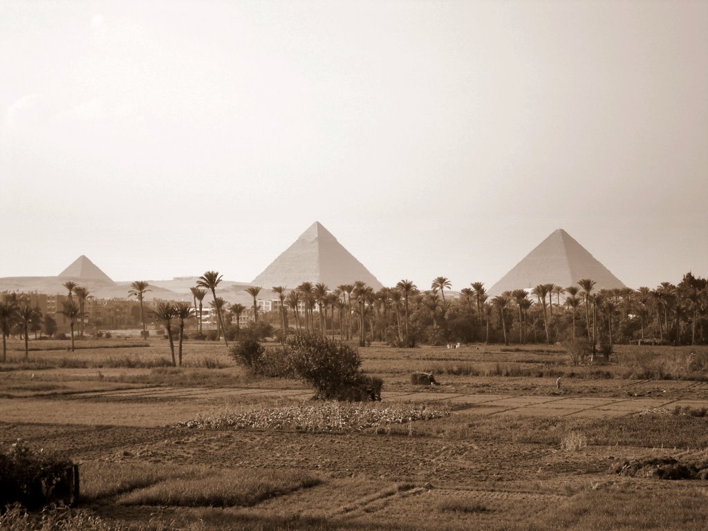 Pyramids of Giza in the afternoon, in Sepia by Alaeddin Faruki