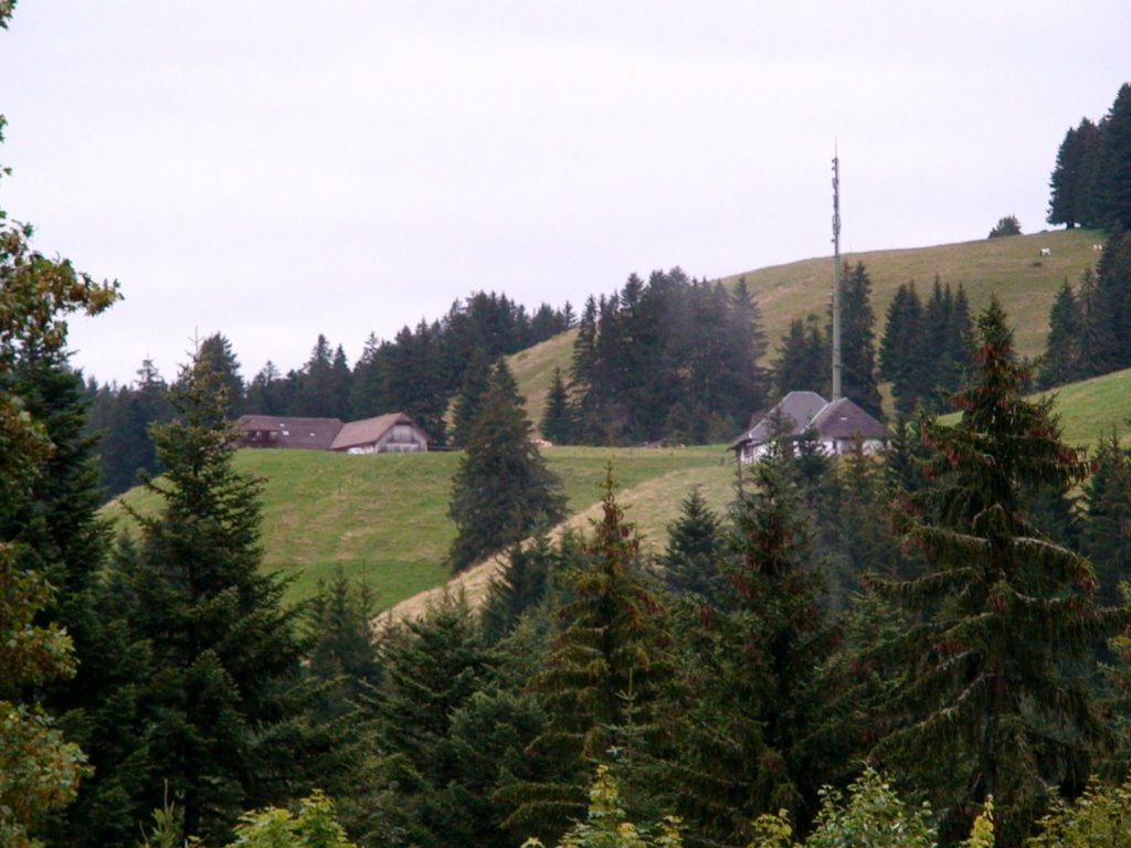 Gruyeres, farm by elalexan