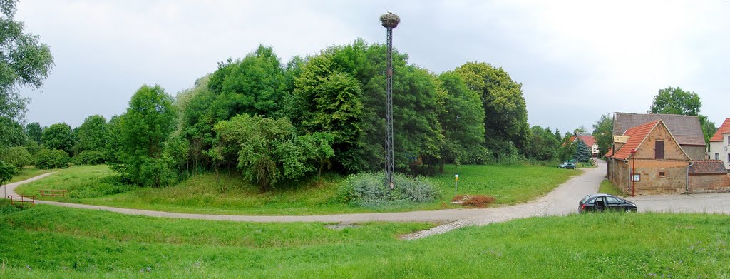 Lobitzscher Storchnest [2004] by Ralf-Rainer Hoffmann