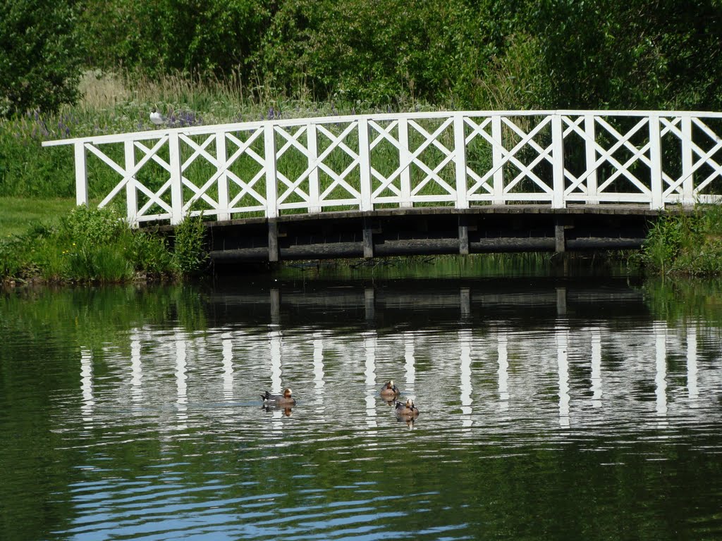 Bridge in Korppaanpuisto by PlamenB