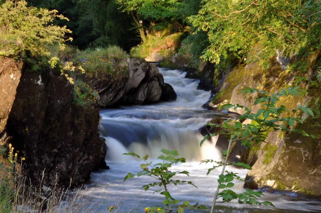 Cenarth rapids by Lemmylou