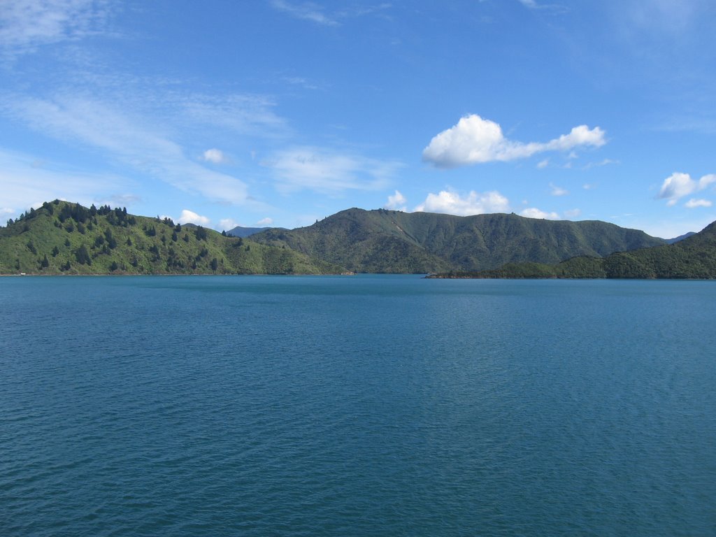 Queen Charlotte Sound, near Picton by M. Spadari