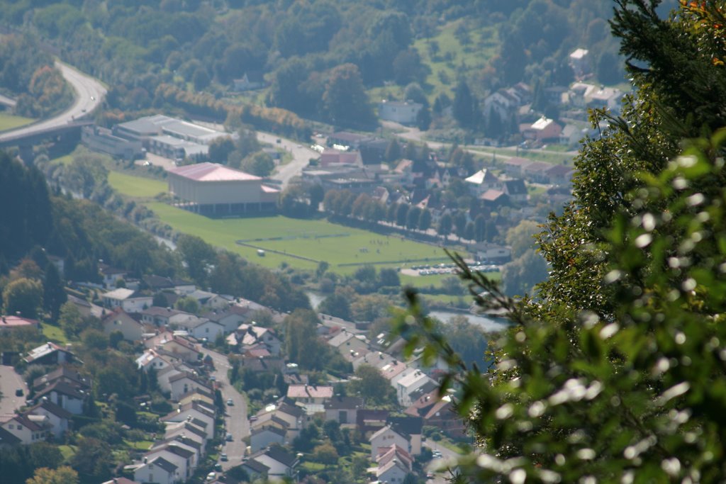 Sportplatz Hirschhorn (im Vordergrund Ersheim) by Sepp2001