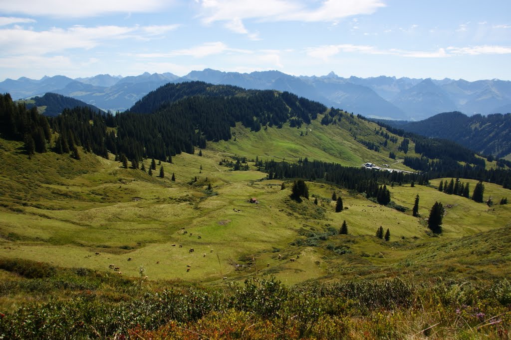 Hochebene Grasgehren und Wannenkopf by allgaeu-erleben.com