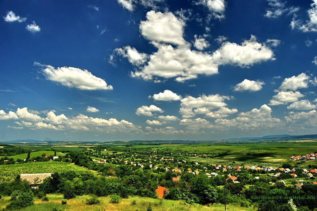 Etyek és környéke DSC_9186-1 by Sárdi A. Zoltán ♥Budapest♥