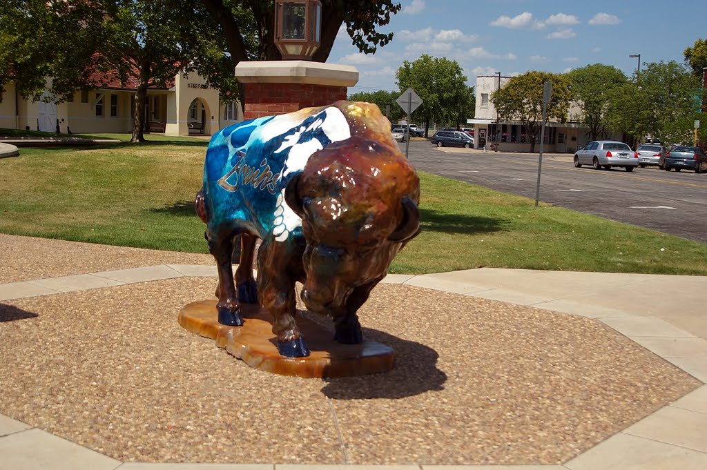 2011, Bartlesville, OK, USA - Buffalo Art by Qwilleran