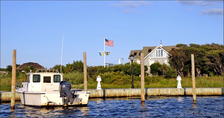 Davis Park marina by Alida Thorpe