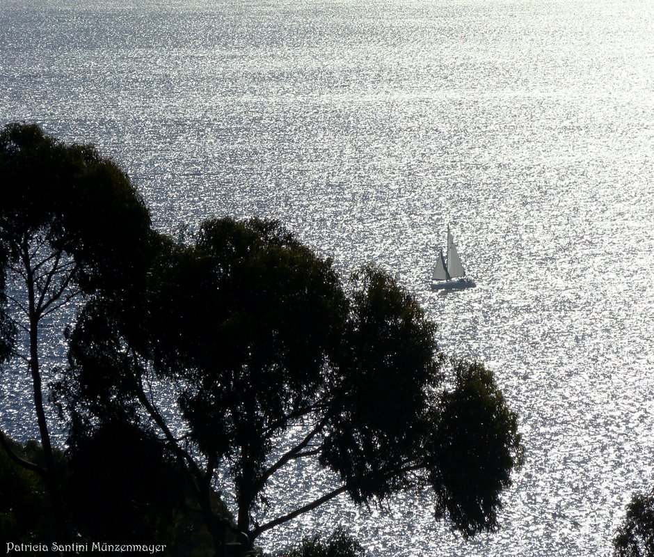 Navegando en un mar de diamantes by Patricia Santini