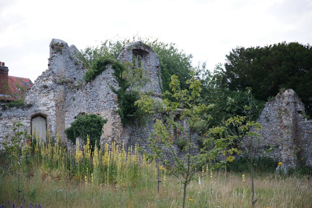 The Ruined Friary by njellis