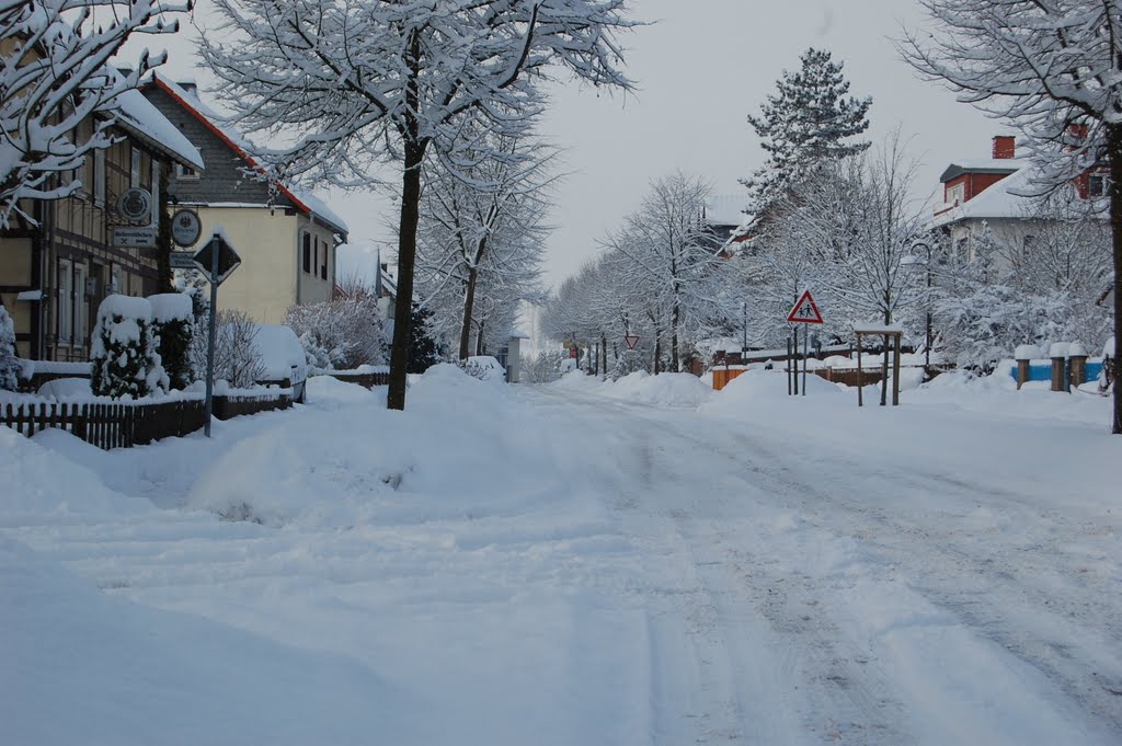 Winter in Sachsenberg by chrjp