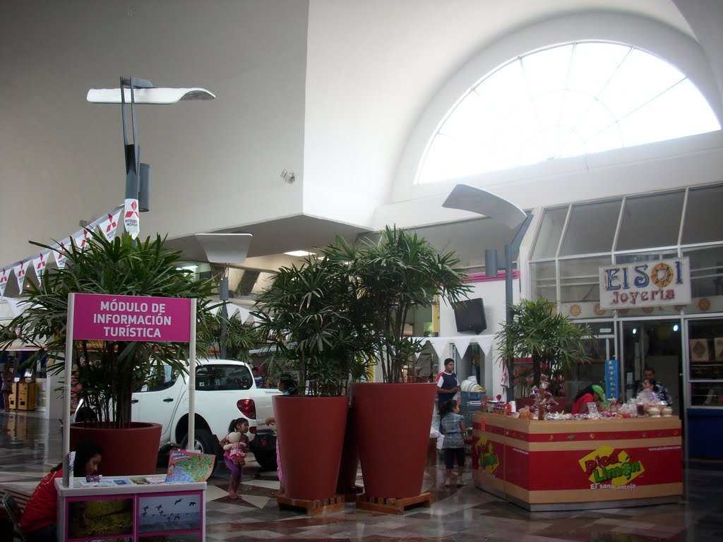 Plaza Manzanillo by Sajuri