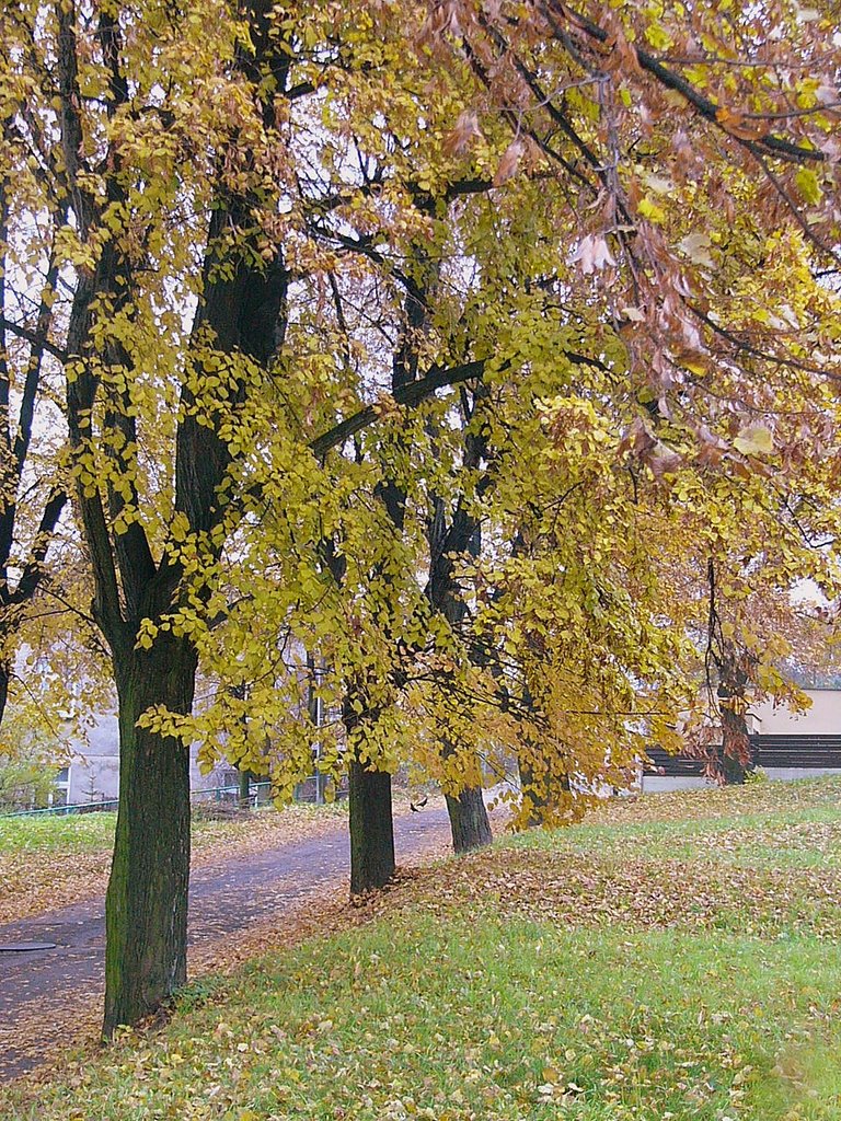 Piękna jesień wokół Kopca Krakusa by SQ9JDO