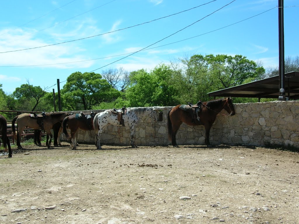 Mayan Ranch, Bandera 2005 by Neil Wickenden