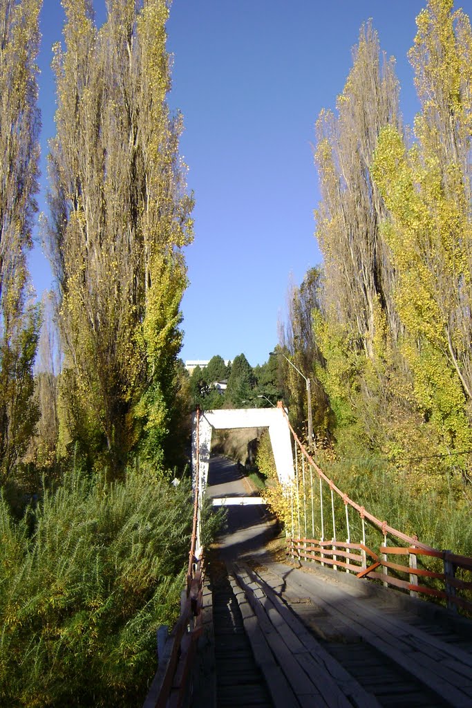 Puente que cruza el Río Simpson, sector Piedra del Indio by Claudio Paz