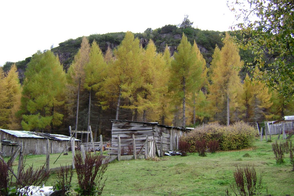 Casa de campo en Mañihuales by Claudio Paz