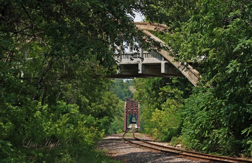 Cotter Bridge over the M&NA RR tracks by Lisa Hyde