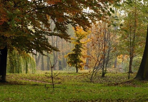 Pruszków - Park Potulickich VII by Piotr Majchrzak