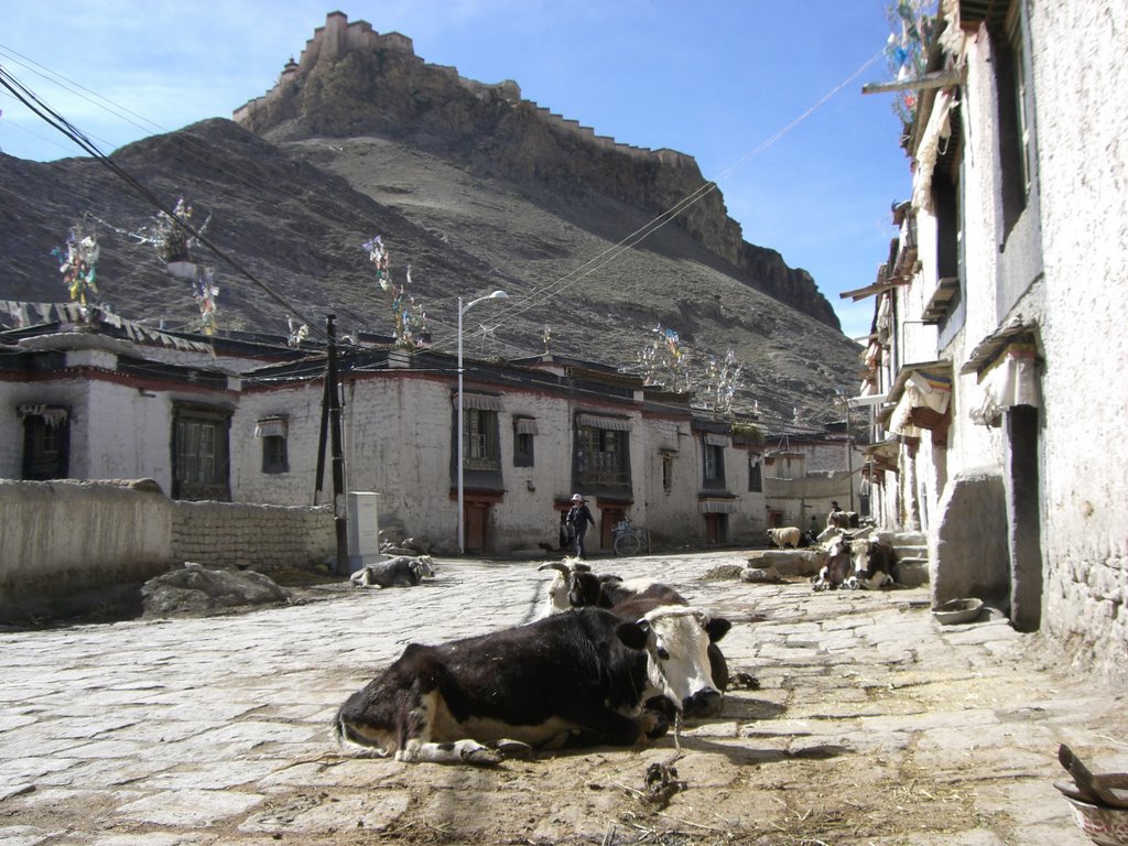 gyantse by goudissard.d