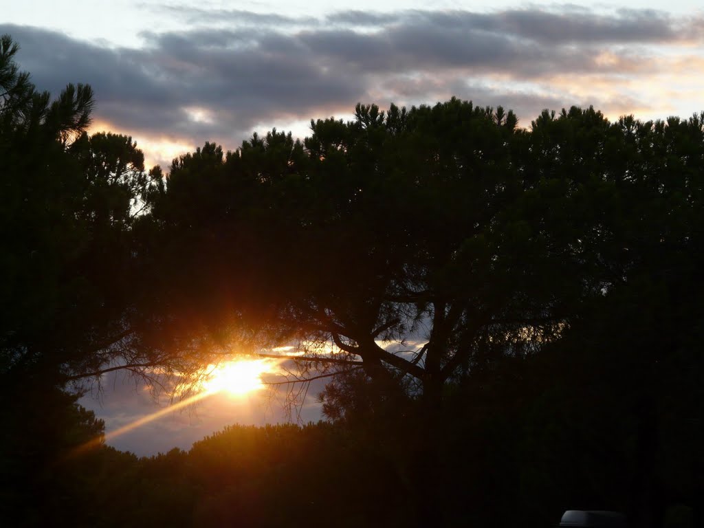 Sunset under the pine trees in the Corbières by BertKg