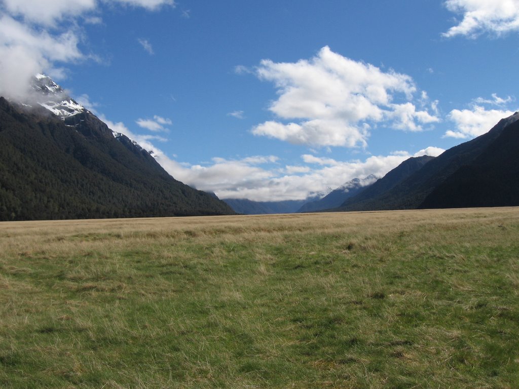 Eglington Valley - Te Anau-Milford Highway by M. Spadari