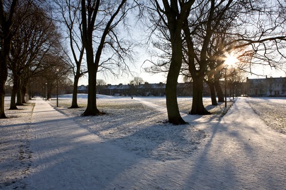 Leith Links Paths in Winter by photomorrison