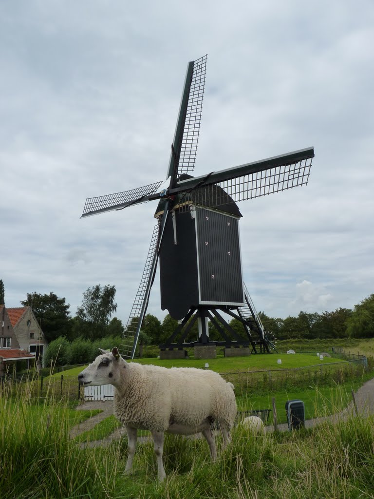 Nederland - Brielle - 't Vliegend Hert by Henny  Brouwers