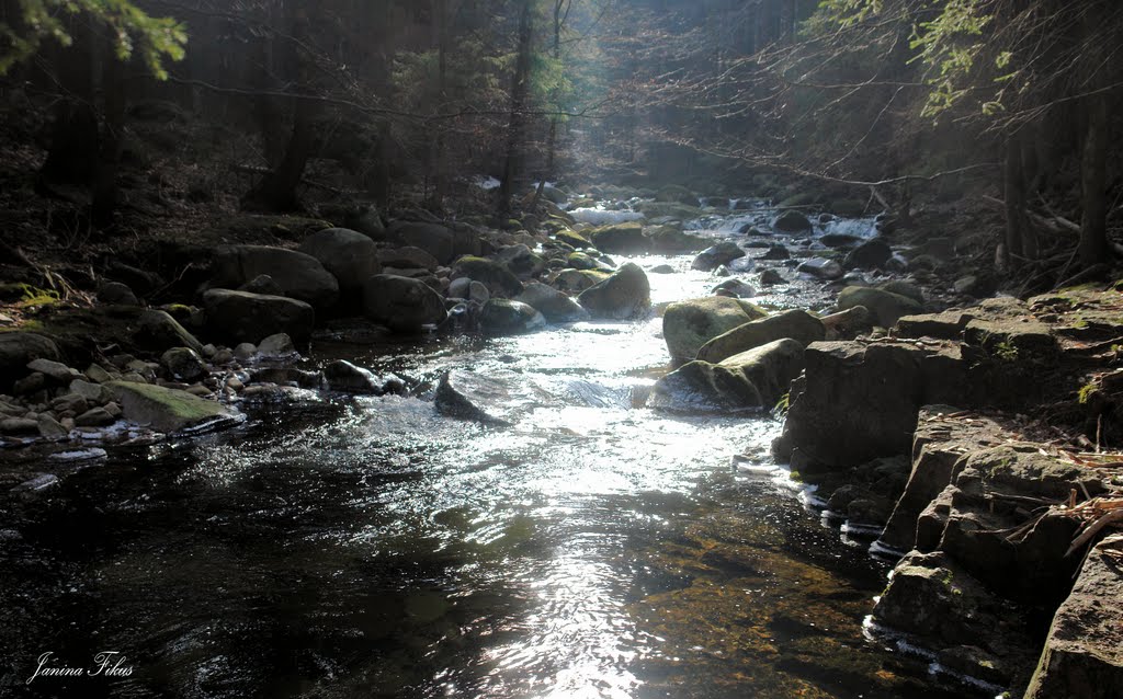 Stream in the glare of midday sun -Szklarska Poręba by fikusjanina