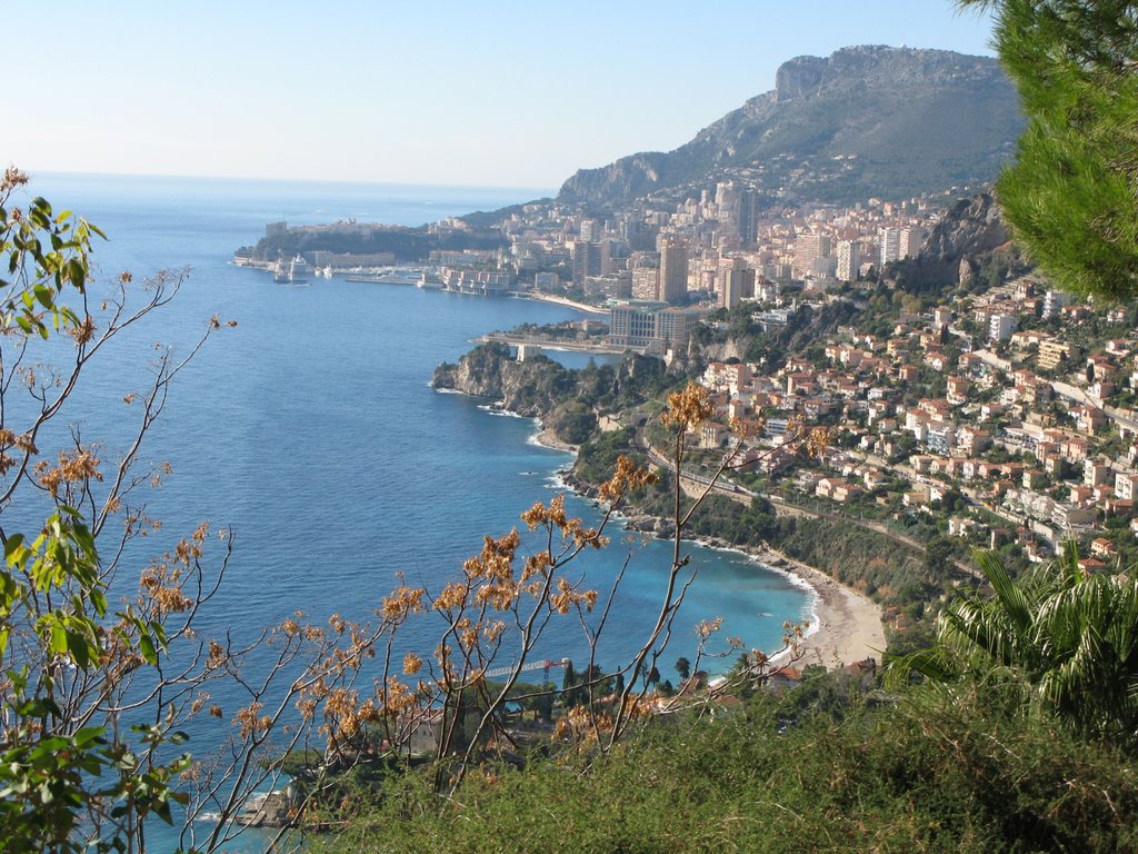 Monaco from Roquebrune-Cap-Martin by Luca Bovio