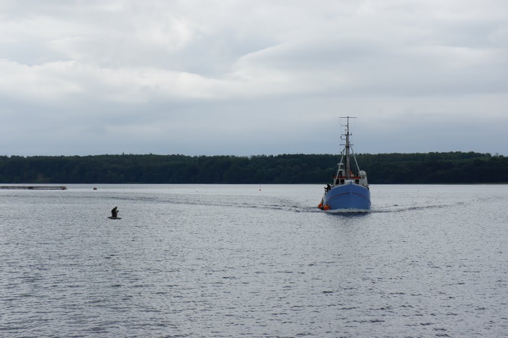 Skærbæk havn, 13. august 2011 by papkassen