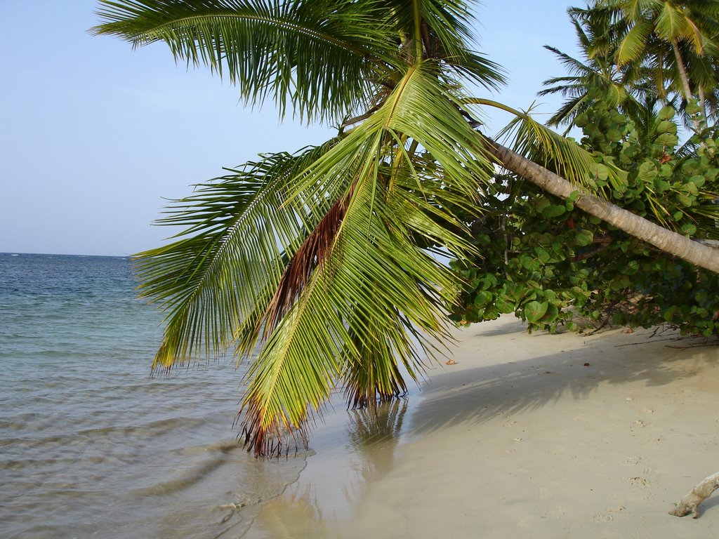 Strand Richtung Las Terrenas by Rodi2007